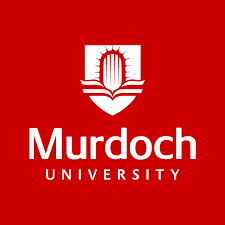 Đại học Murdoch