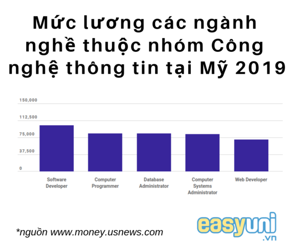 Mức lương nhóm ngành Công nghệ thông tin tại Mỹ 2019